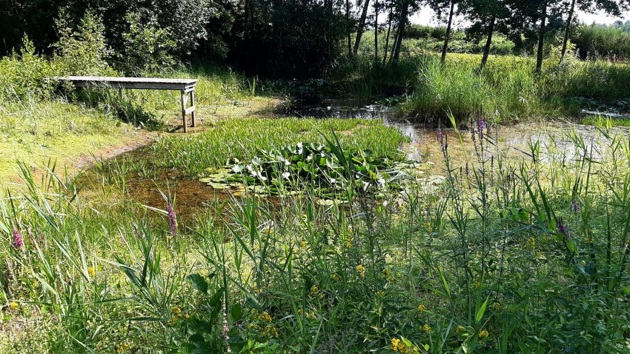 Kievit Villa Appelscha Luaran gambar