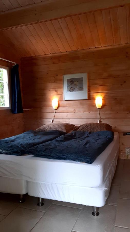 Kievit Villa Appelscha Luaran gambar